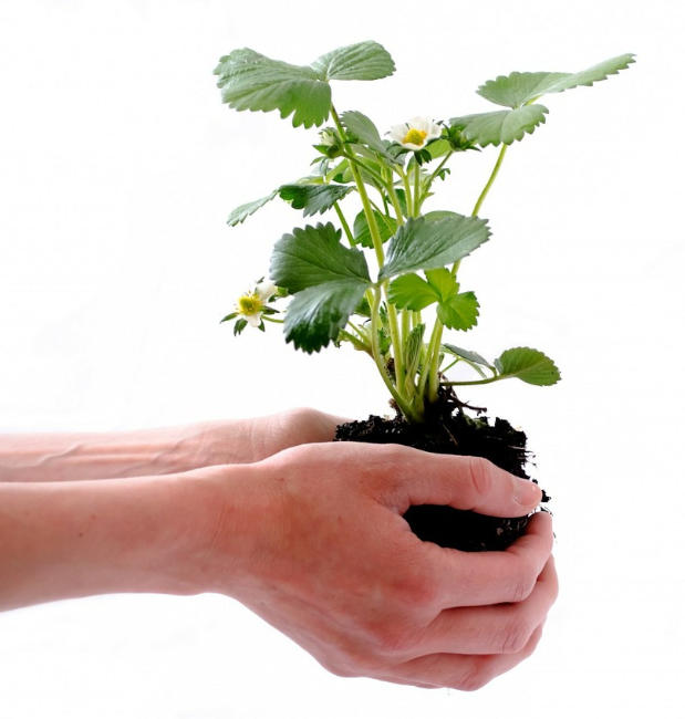 Supportiamo i clienti dall'idea alla realizzazione finale sviluppo progetti di e-commerce